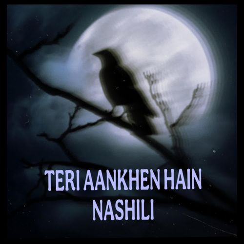 TERI AANKHEN HAIN NASHILI