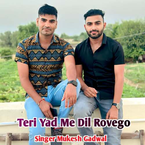 Teri Yad Me Dil Rovego