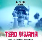 Tero Diwana (Kumauni Folk Song)