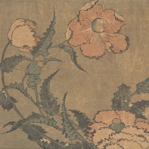 Deputy cover art