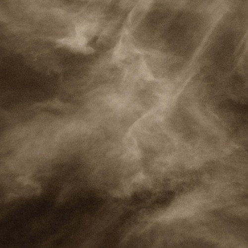 Cave of the Swimmers cover art