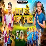 Toke Dekhi Pagal Helaiho