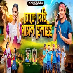 Toke Dekhi Pagal Helaiho