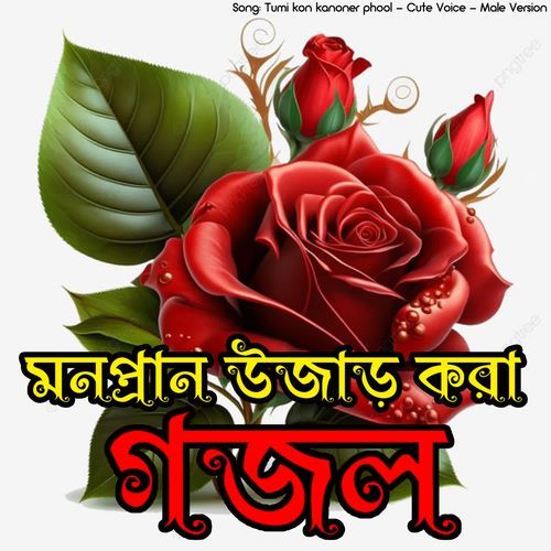 Tumi kon kanoner phool Cute Voice Male Version