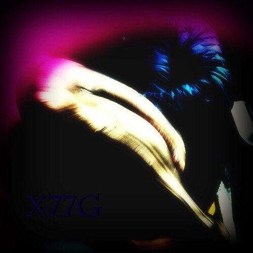 Xys
