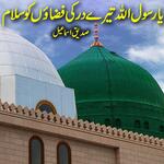 Ya Rasool Allah Tere Dar Ki Fazao Ko Salam Gunbad Khazra Ki Thandi Thandi Chao Ko Salam | Naat Rasool Siddique Ismail