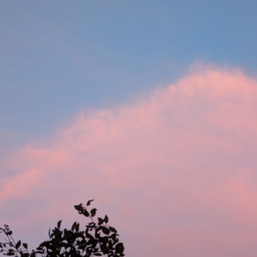 to every girl I've ever loved