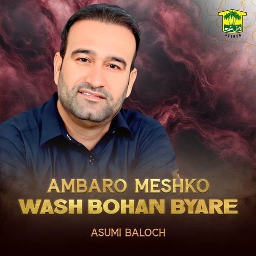 Ambaro Meshko Wash Bohan Byare