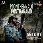 Poonthennalo pontharamo