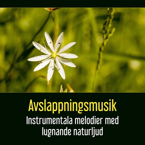 Djup avslappning cover art