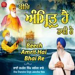 Beech Amrit Hai Bhai Re