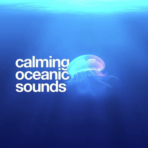 Calming Oceanic Sounds