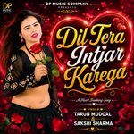 Dil Tera Intjar Karega