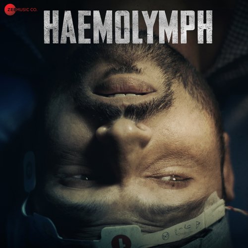 Haemolymph