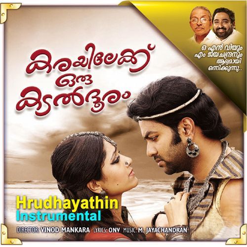 Hrudayathin Madhupaathram (Instrumental)_poster_image