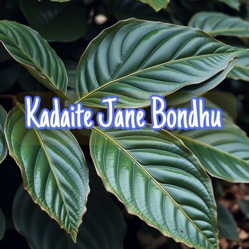 Kadaite Jane Bondhu