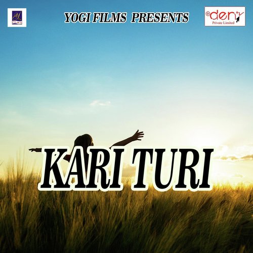 Kari Turi_poster_image