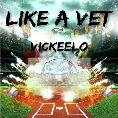 Like a Vet_poster_image