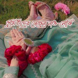 তুমি চাঁদের জেসনা নাও-CCAAZB1aWmQ