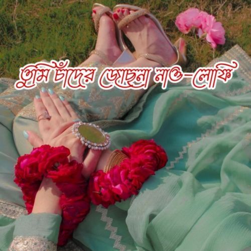 তুমি চাঁদের জেসনা নাও