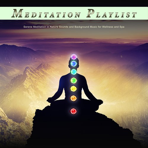 Meditation Playlist: Serene Meditation in Nature Sounds and Background Music for Wellness and Spa_poster_image