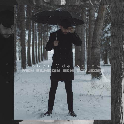 Men Bilmedim Seni Soyjegimi cover art
