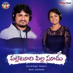 Palleturi Pilla Soodu