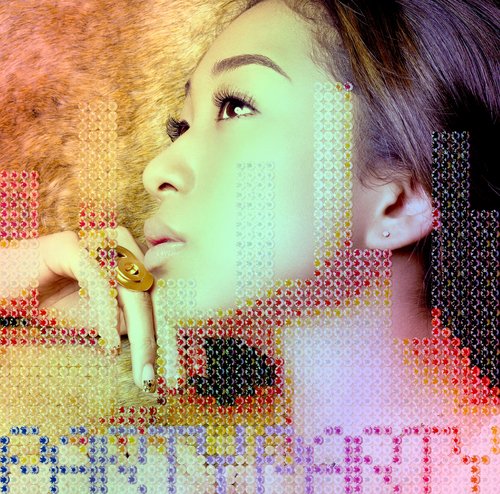 Diary (A Hundred Birds Remix) cover art