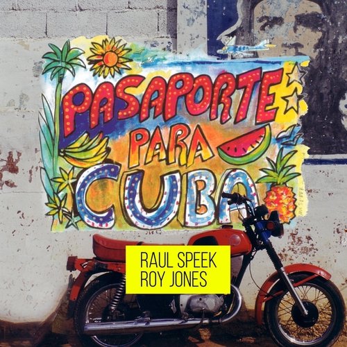 Haul Fawr (feat. Steve Metcalfe) cover art