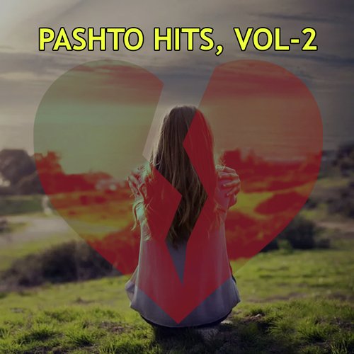 Pashto Hits, Vol. 2