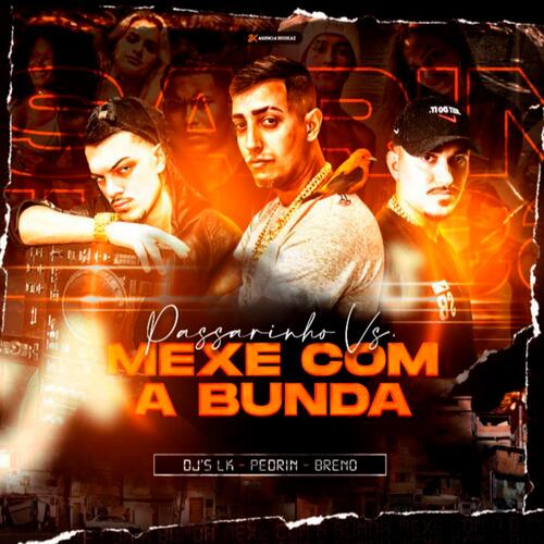 Passarinho Vs Mexe Com a Bunda (Remix)_poster_image