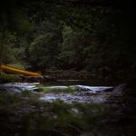 Relaxation and Instant Stress Relief with Water Creek and Nature Sounds