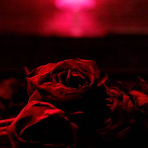 Roses_poster_image