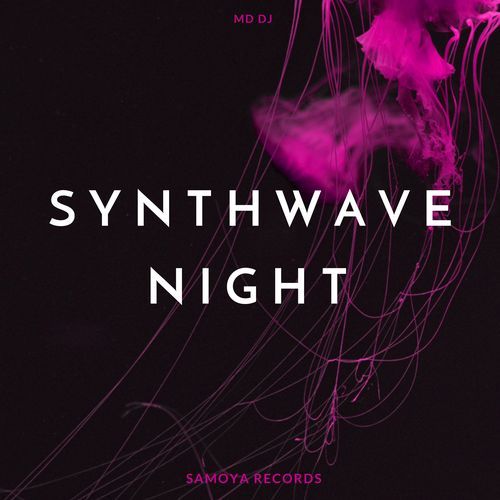Synthwave Night cover art