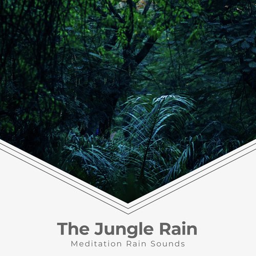 Meditation Rain Sounds cover art