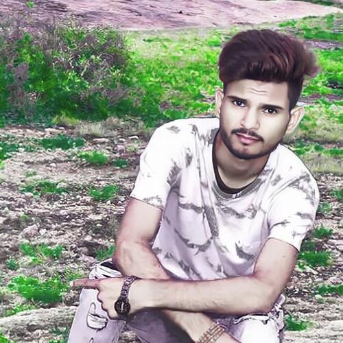 Vijay Meena Gumanpura