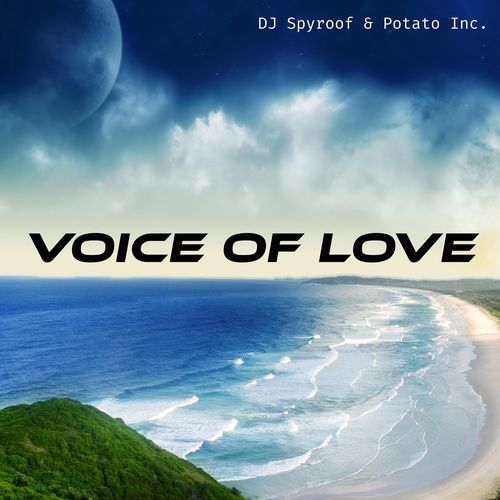 Voice Of Love