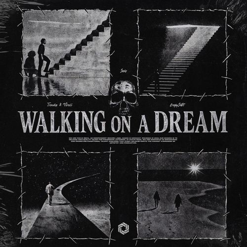 Walking On A Dream (Techno)