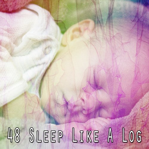 48 Sleep Like a Log