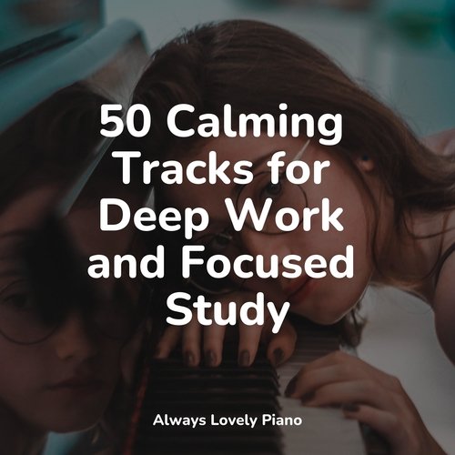 50 Calm & Tranquil Tracks for the Ultimate Relaxation