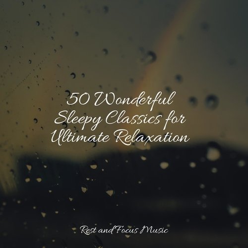 50 Wonderful Sleepy Classics for Ultimate Relaxation