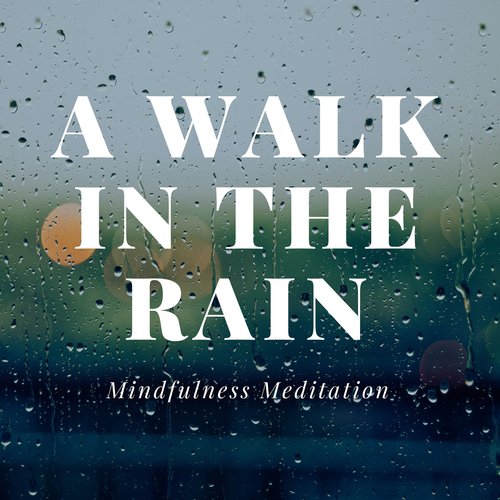 A Walk in the Rain: Mindfulness Meditation, Soothing Sounds of Nature for Relaxation, Dreamy Mood, Best Sleep Aid