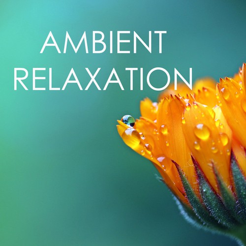 Ambient Relaxation - Nature Sounds and Music, Biosphere & Spa Songs Collection_poster_image