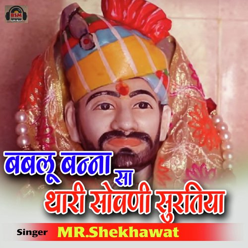 Mr. Shekhawat