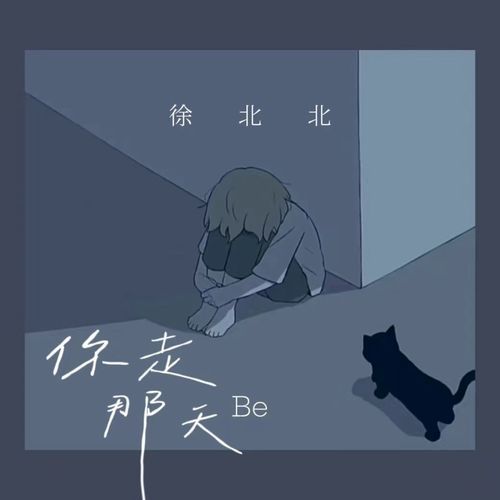 你走那天 (Be)_poster_image