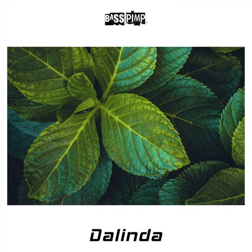 Dalinda_poster_image