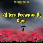 Dil Tera Deewana Ho Gaya
