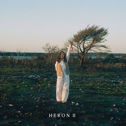 Heron II_poster_image