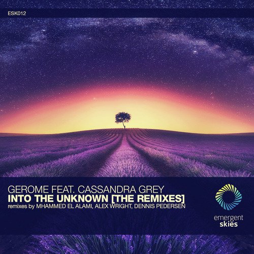 Into the Unknown [The Remixes]_poster_image