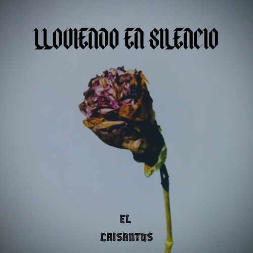 LLOVIENDO EN SILENCIO cover art
